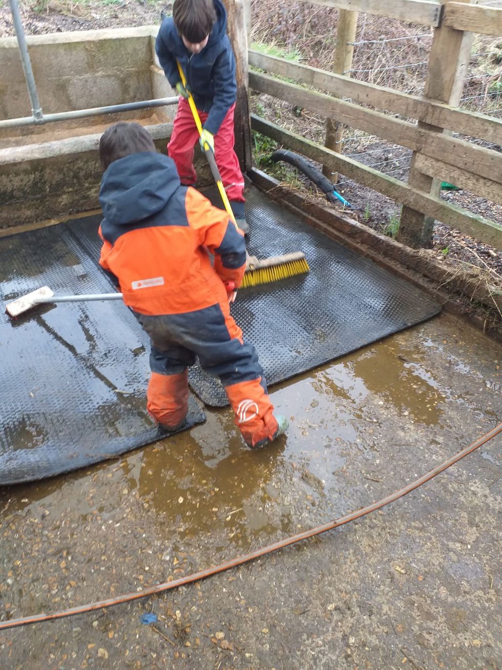 Children working together on the farm