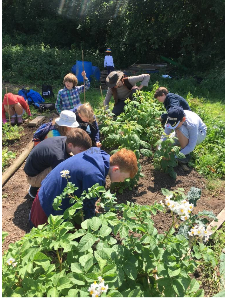 Children working together in the farm garden