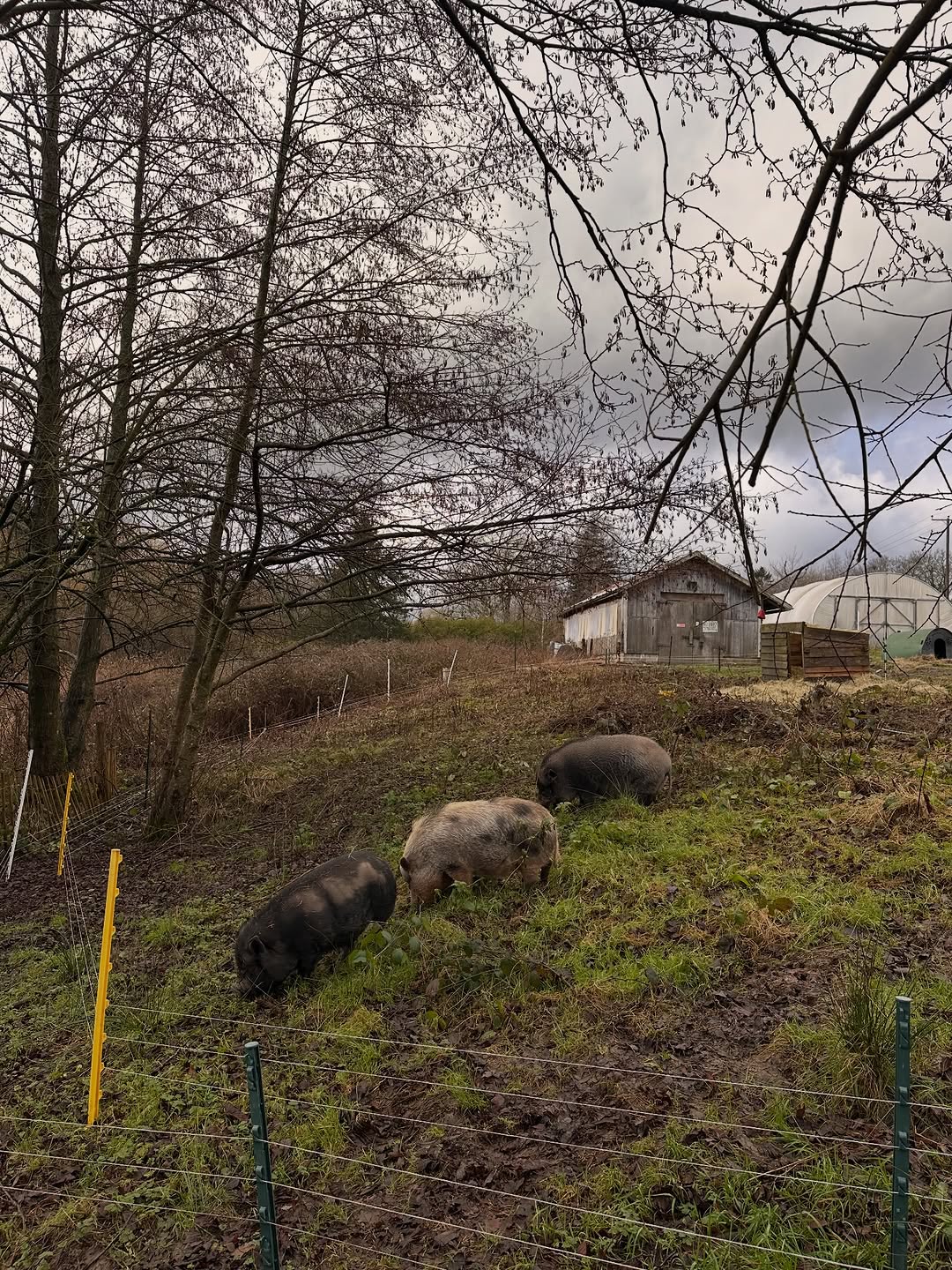 A Wes Anderson scene